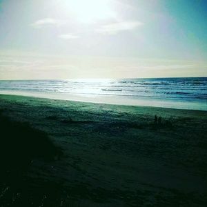 Meet your Posher, Avery